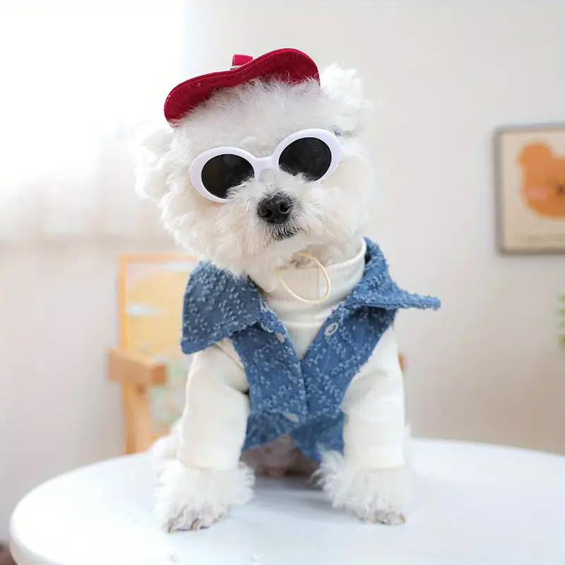 Dog Fashion Baseball Cap with  - Street Fashion Shoot recension och pris